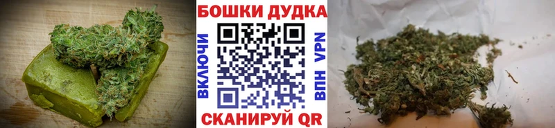 Canna-Cookies марихуана  Бологое 