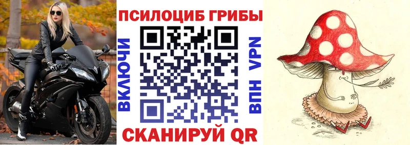 купить закладку  Бологое  Псилоцибиновые грибы GOLDEN TEACHER 
