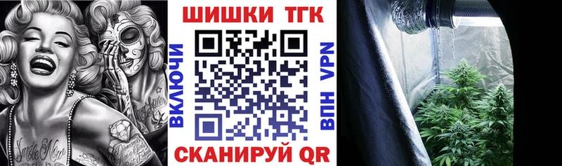 Бошки Шишки план  Бологое 